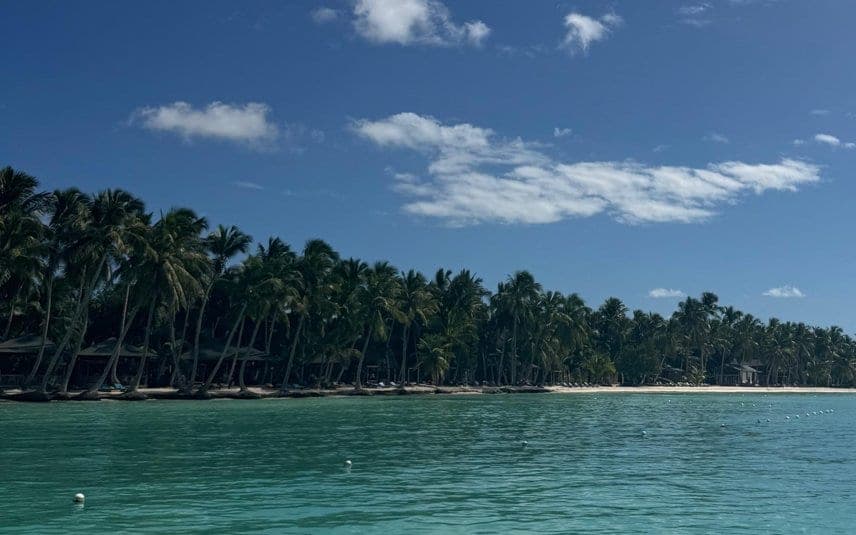 Palmilla